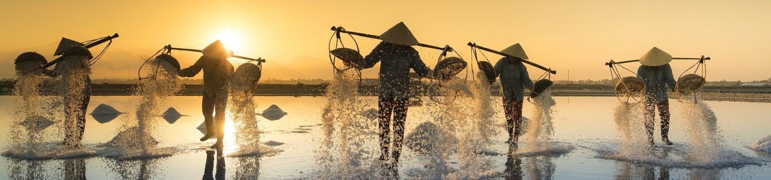 salt-harvesting-3060093_1920